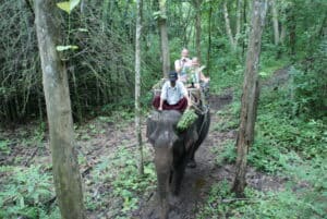 Rondreis Bangkok , River Kwai & Koh Samui (19 dagen) 29 DSC04428