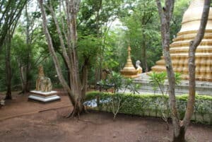 Rondreis Bangkok , River Kwai & Koh Samui (19 dagen) 31 DSC04442