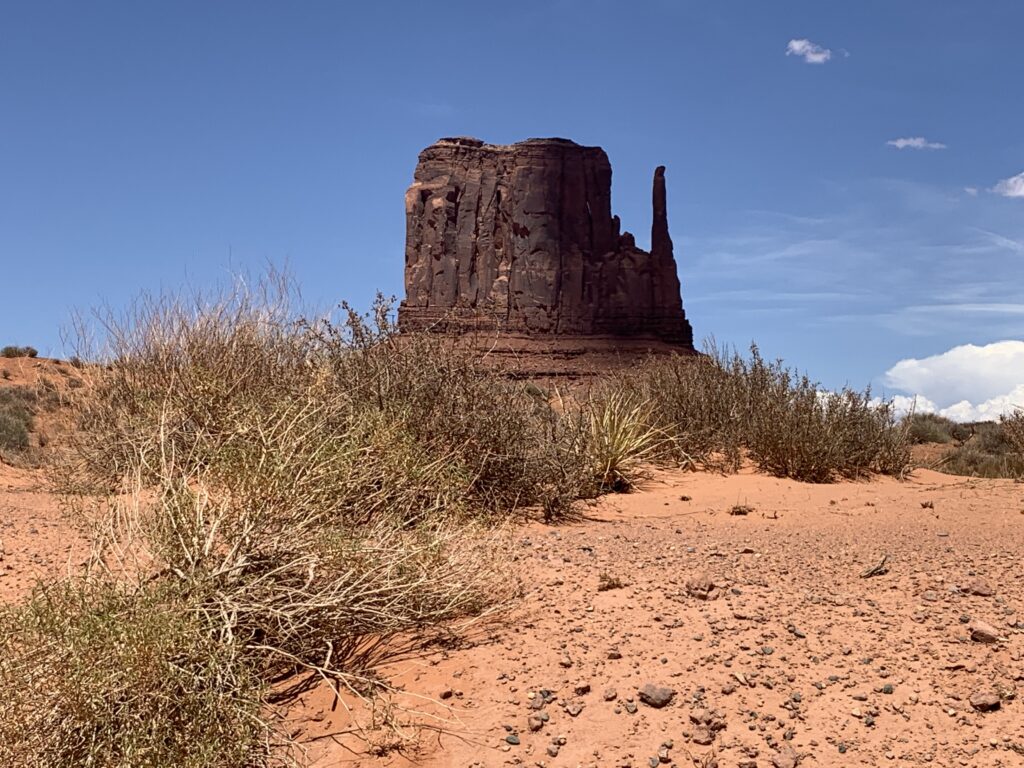 Rondreis Las Vegas steden & parken (20-dagen) 39 IMG 1710